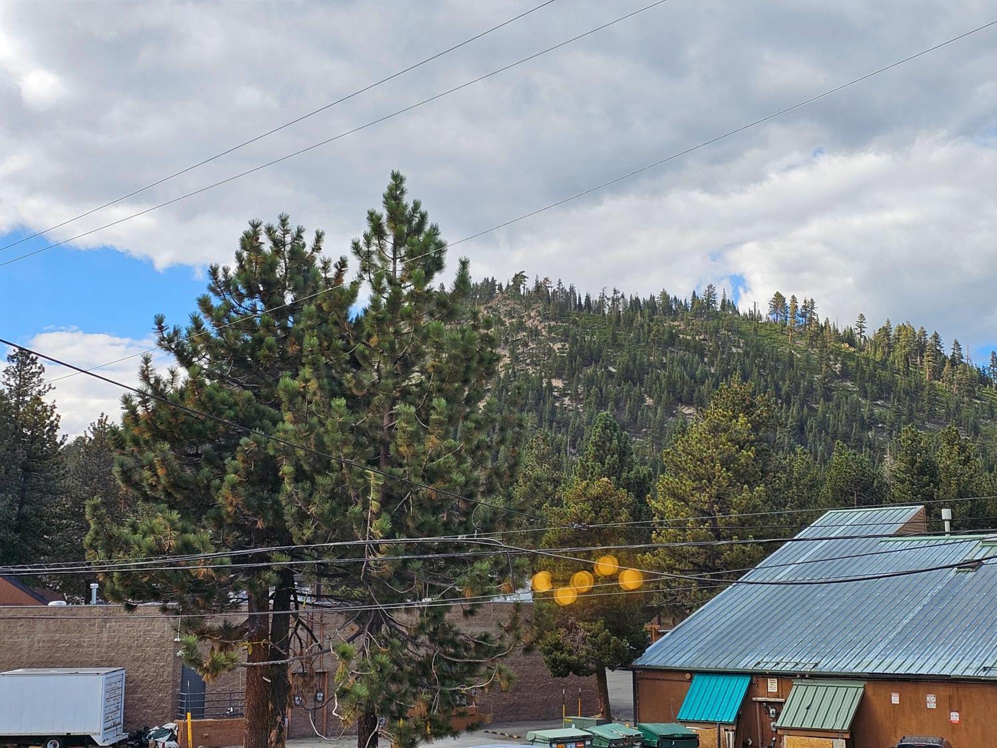 Cinnamon Bear Inn Mammoth Lakes Exterior photo
